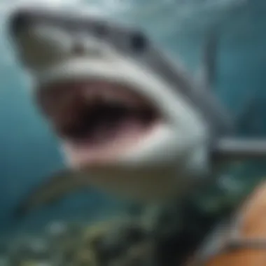 The Intricacies of Shark Behavior A close-up of a shark in its natural habitat showcasing its behavior