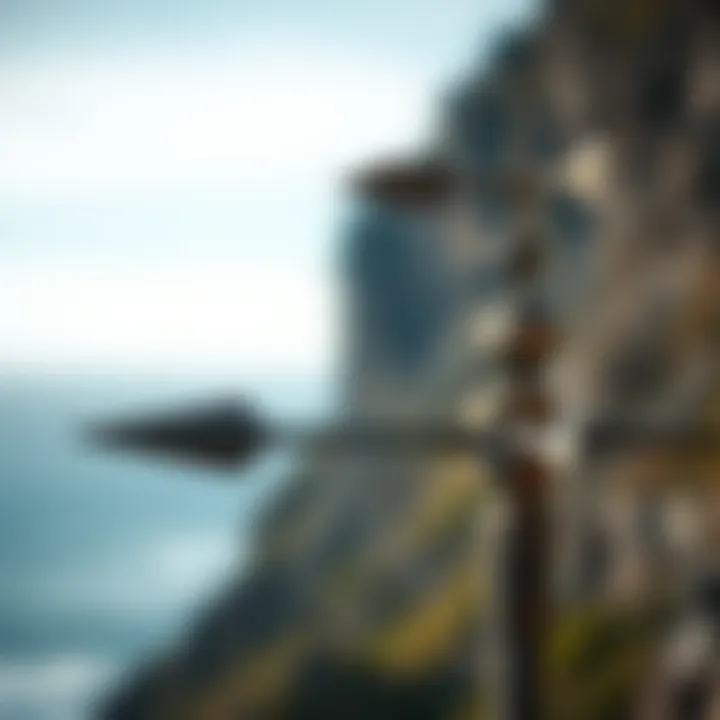 A wind vane showing wind direction